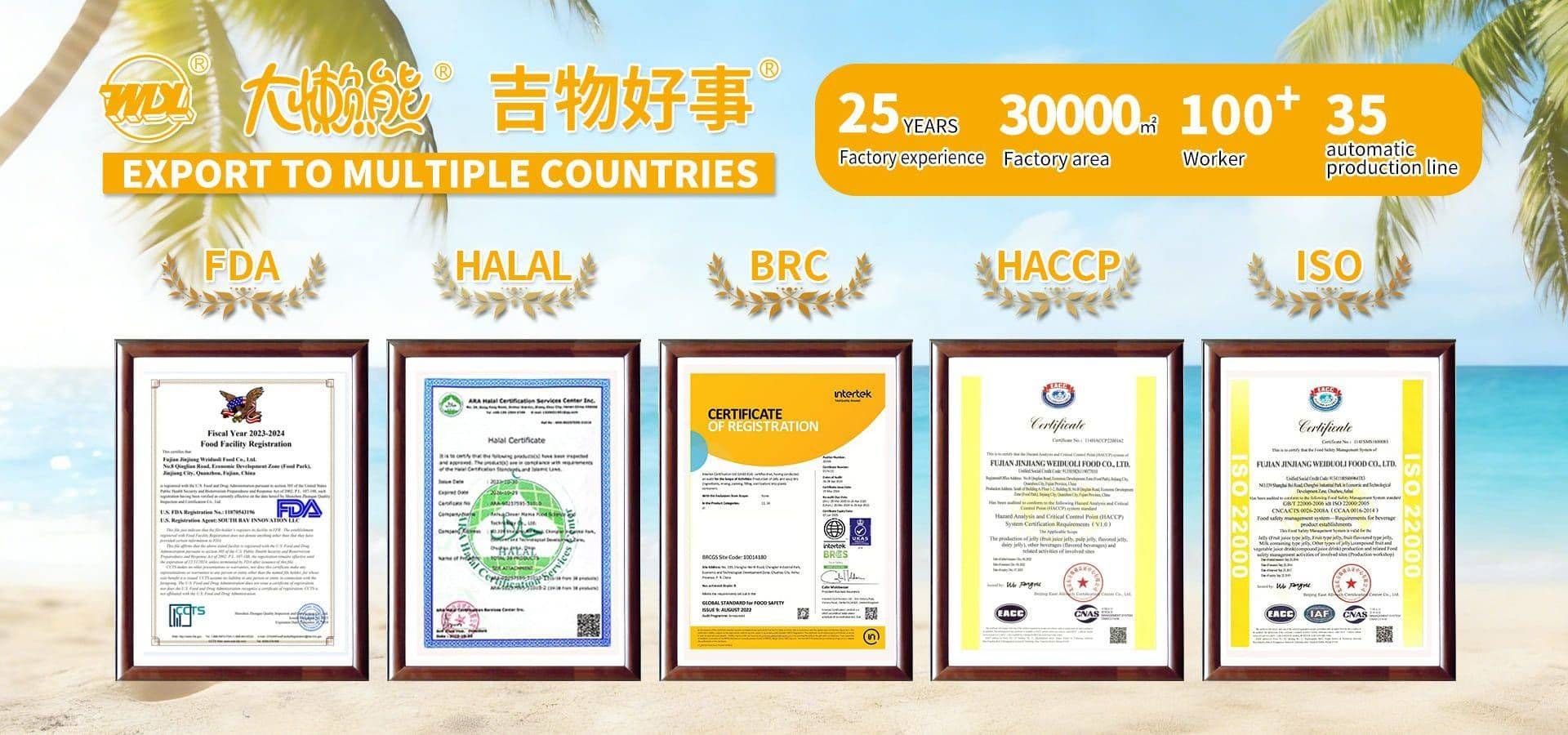 Konjac Jelly OEM Factory Production Line