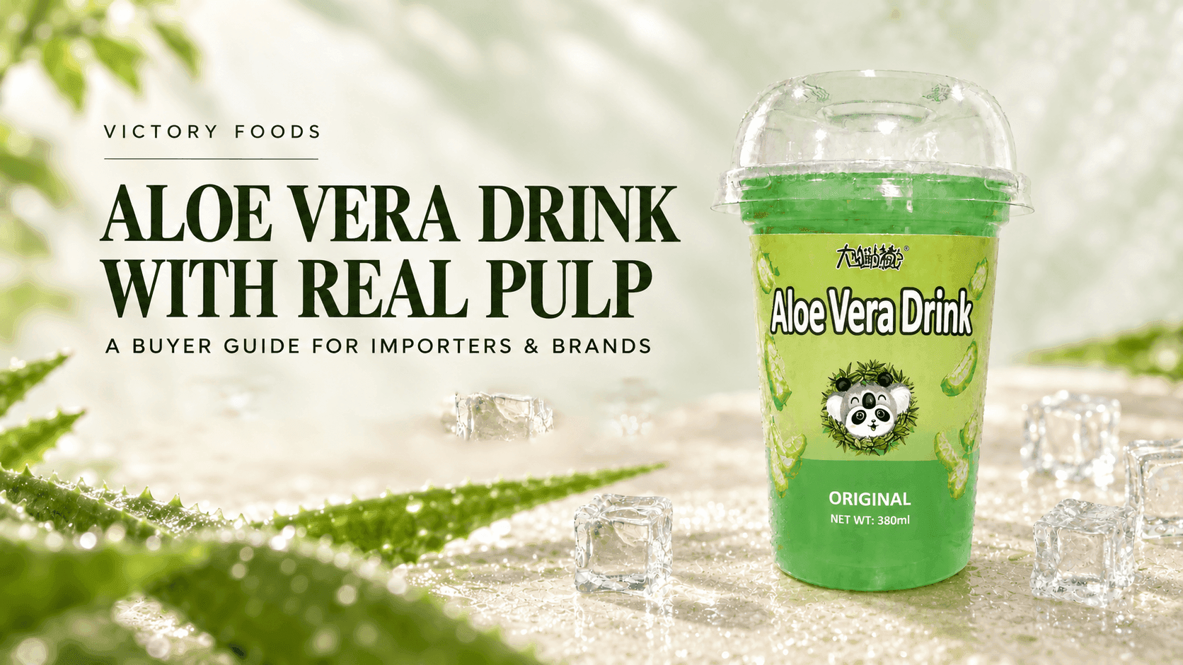 Aloe Vera Drink with Pulp for Importers and Private Label Brands